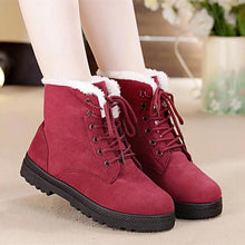 Load image into Gallery viewer, Snow Boots Women Classic Faux Suede Winter Women Boots Warm Plush Female Ankle Boots Hot Women Shoes Lace-up Shoes Woman WSH2461